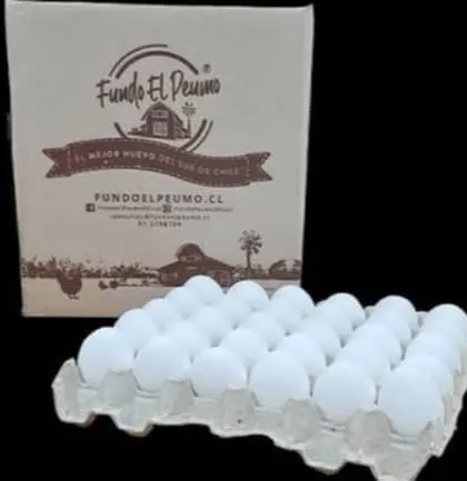 Imagen de Bandeja de huevo Fundo El Peumo 30 unidades
